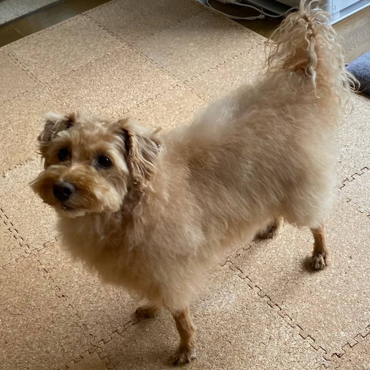 13a61f58 a4c2 4766 8deb 4f6d826cbac9 1658019177350