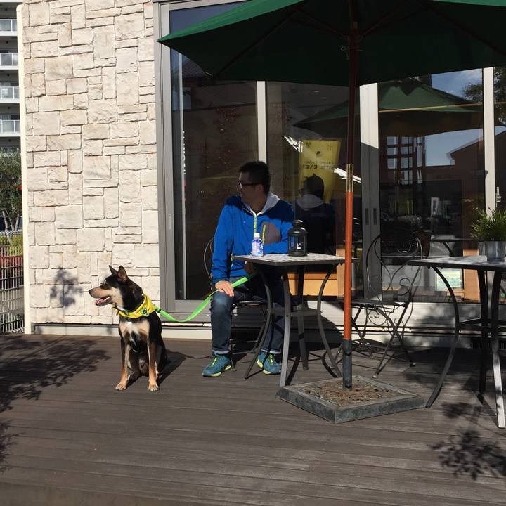 13a62f91 26dc 4ae7 a500 474bd533a7a1 1541855744470