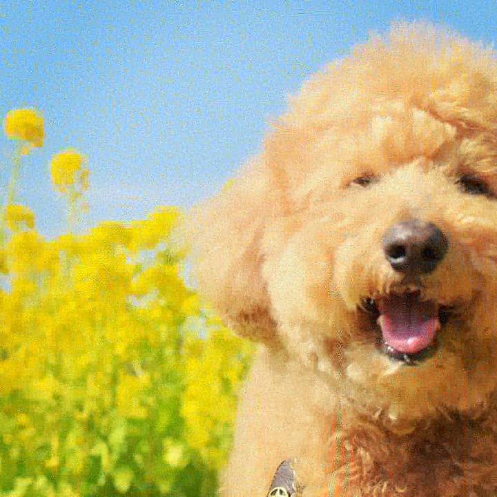 13a63587 3c00 46fa 8083 cacbd118b790 1520070254539