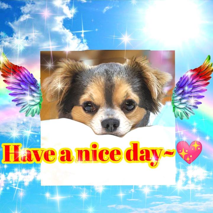 13a6641d 079f 48c6 9af1 9faf23183796 1594598559624