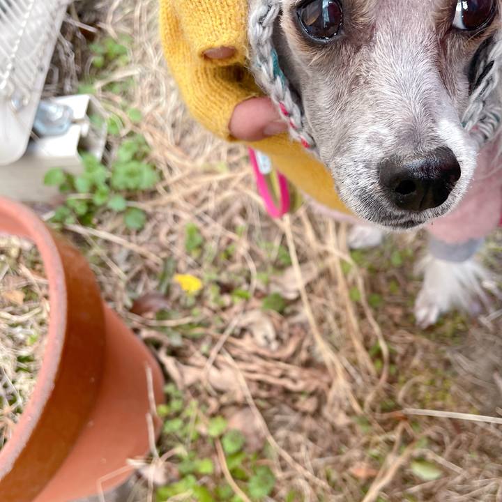 13a6a785 0861 4fd3 b968 3a3a2514a59f 1769501013879