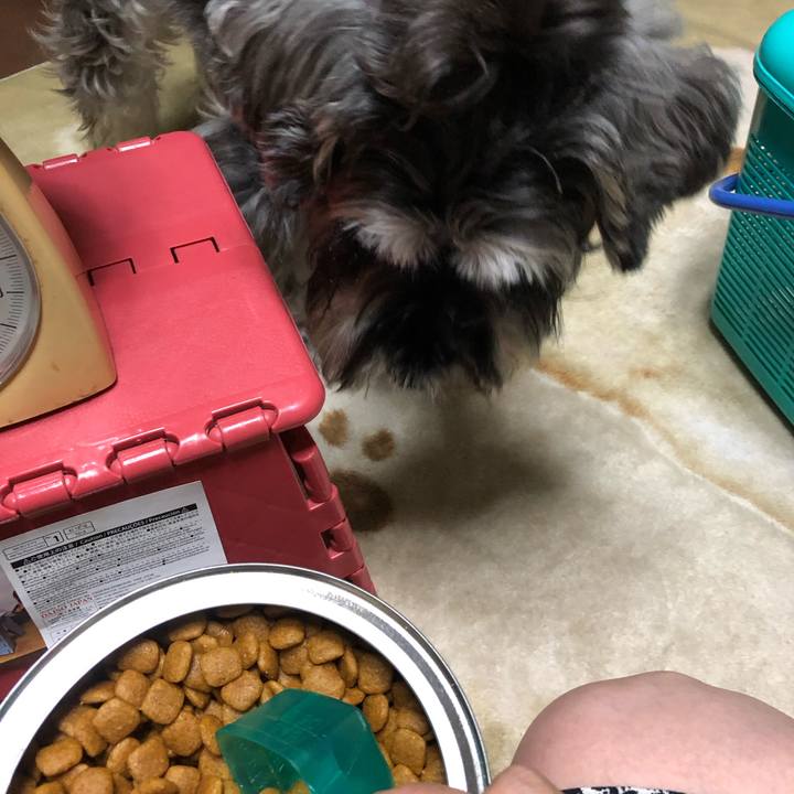 13a6e170 7623 4aac 8676 e7f6bb89a3c0 1562591744194