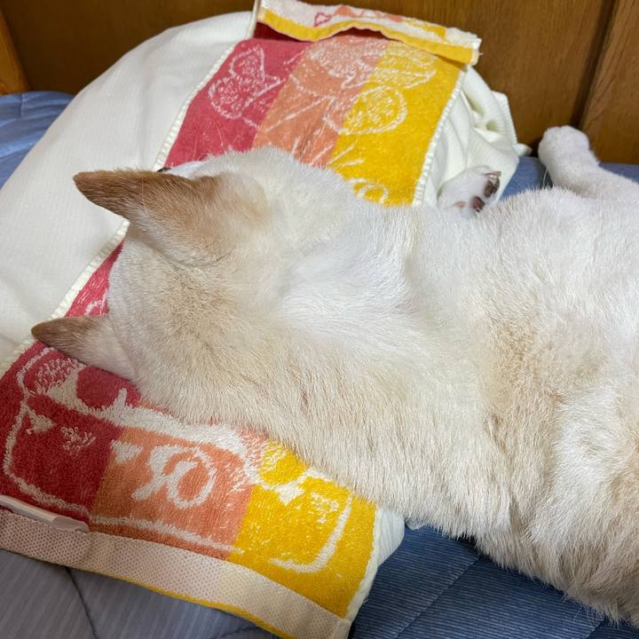 13a70b04 d5d2 4bfb 9ab1 353090a68fb5 1662649189145