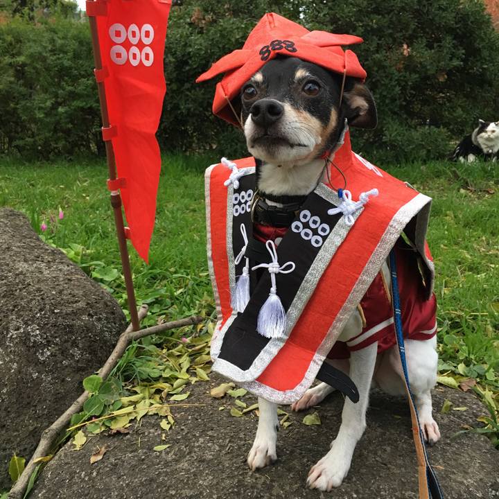 13a70bea ef05 4b03 98a9 d11e1d12440a 1661599123513