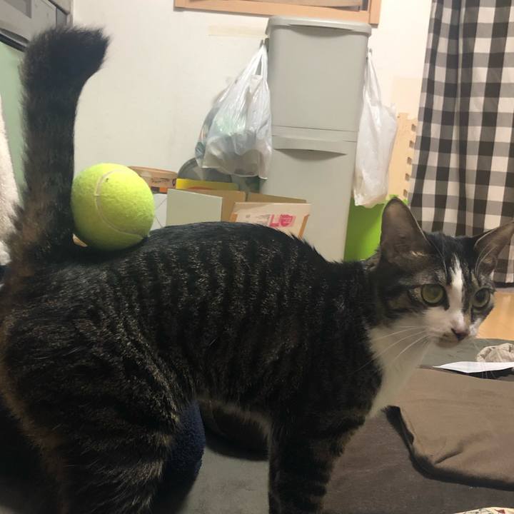 13a7172b bec9 4952 ba34 e47ca9594fa3 1552447819598