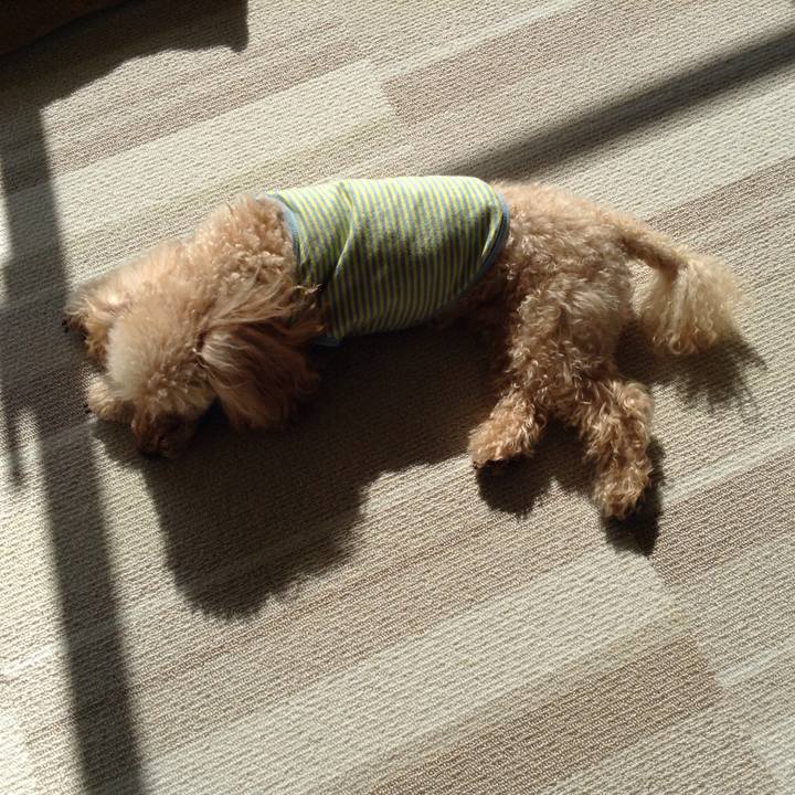 13a73396 4b5f 480e a883 0213a792ae6d 1548553875296