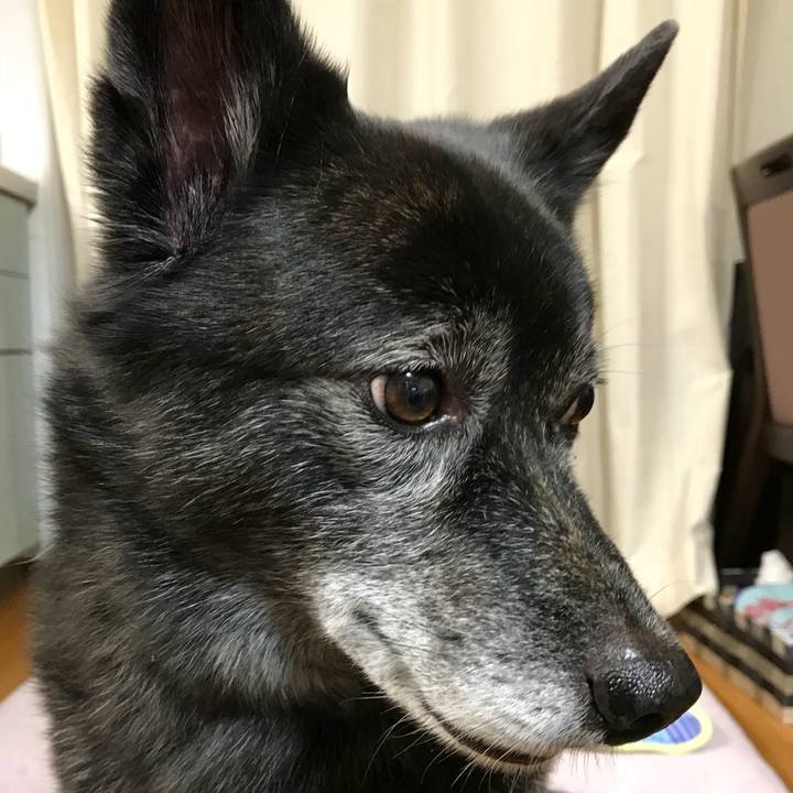 13a76353 b98a 4327 b3c2 65ca703eae1a 1533560153818