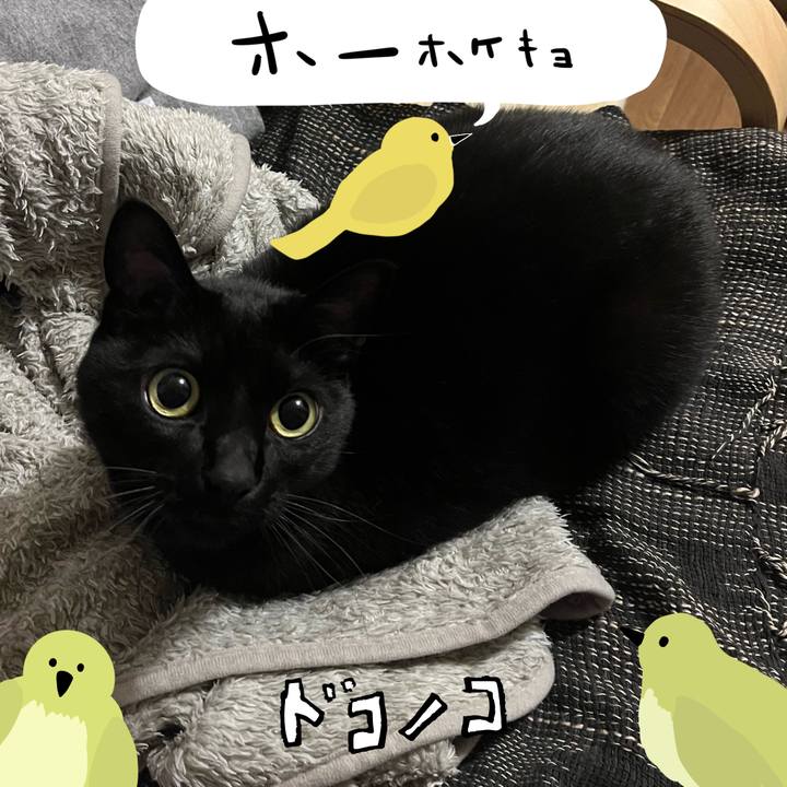 13a77921 7284 4a40 80f8 2ce4fc1ea142 1711585615150