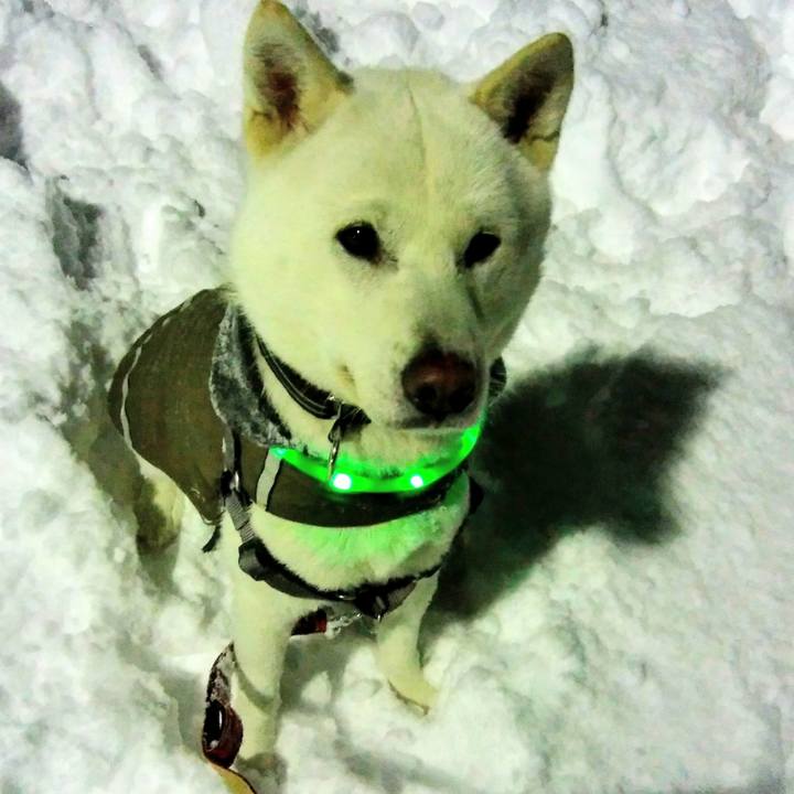 13a796be 6883 406d b456 3f70fa32163d 1518441962108