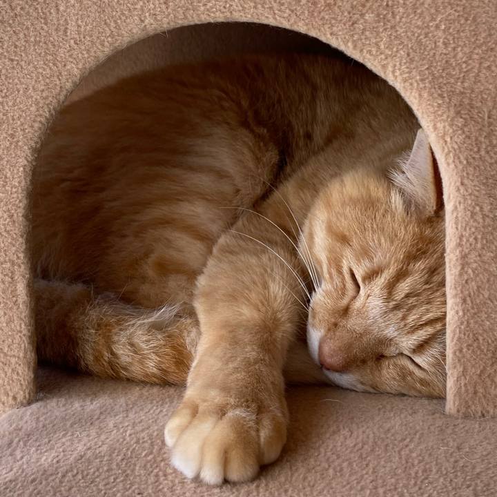 13a7d736 cbf3 4617 8036 8bc63b32721a 1681257747297