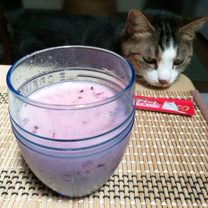 13a7d77c c622 4021 a12f ee9d8dedb829 1531532365236