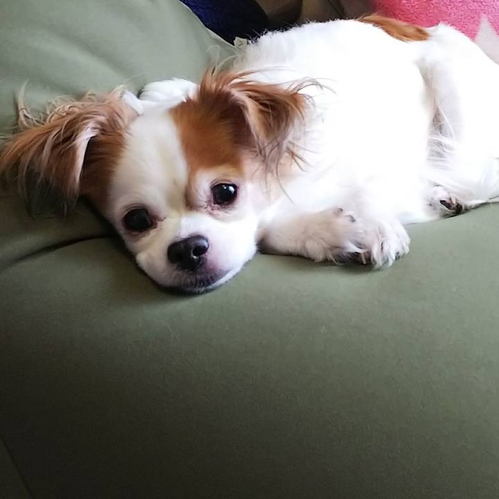 13a7febb 32c3 421c afcc d0553b03c9f3 1519980759097