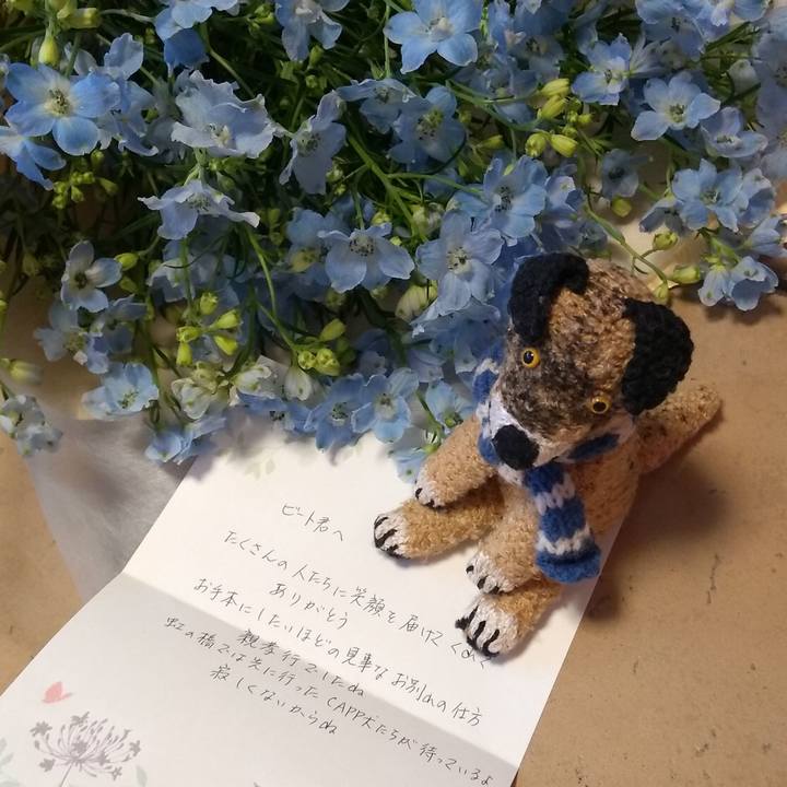 13a829a7 d9d5 4086 8258 d48f8d340dc2 1576211167978