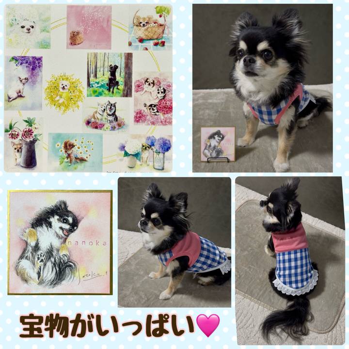 13a837d9 9bbb 4571 a6dd 6f9249367d30 1749215429645