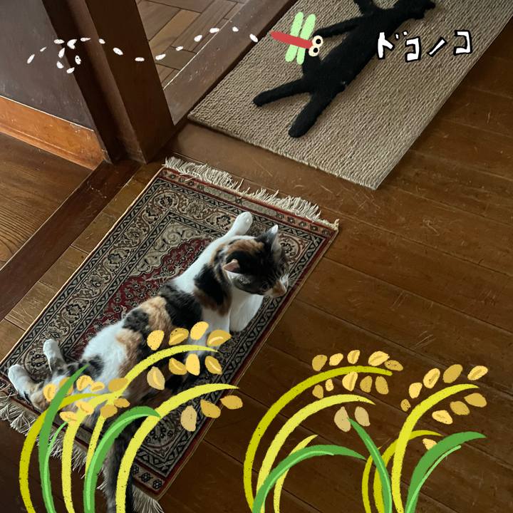 13a8624b 4c69 4c0b ab32 7c768e9c62b6 1762063528460