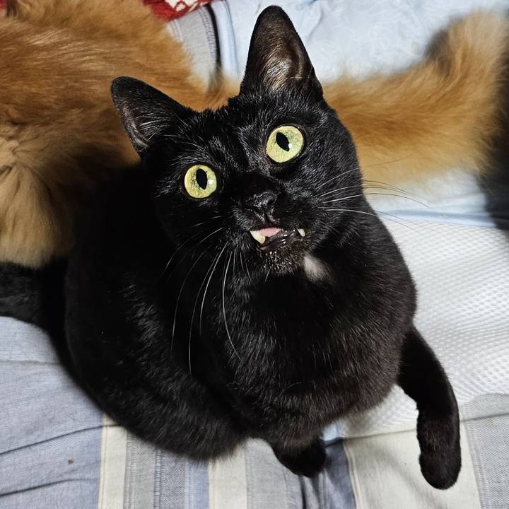 13a88bbe 02f0 42e3 be2d 06545021e4d9 1755414743409