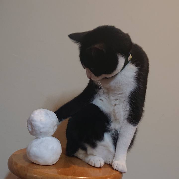 13a89da1 66ea 4d03 a98a ad7c7fe33c7d 1610112397762