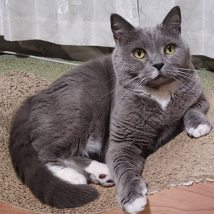 13a8d7ae cd13 4259 b0db 5bfc9a0331c3 1759502401159