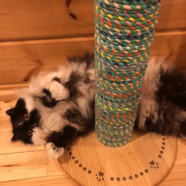 13a8ec59 9442 4b0d b129 ba220ac9b766 1534949907917