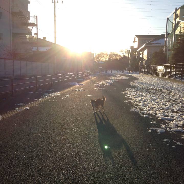 13a91184 d529 46eb 9bf5 b6fa0dbae12c 1516836241488