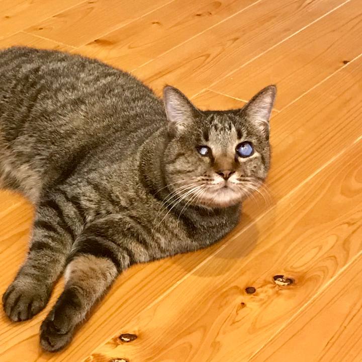 13a914dd 0d09 4df3 868b f84498800ff9 1567467422597