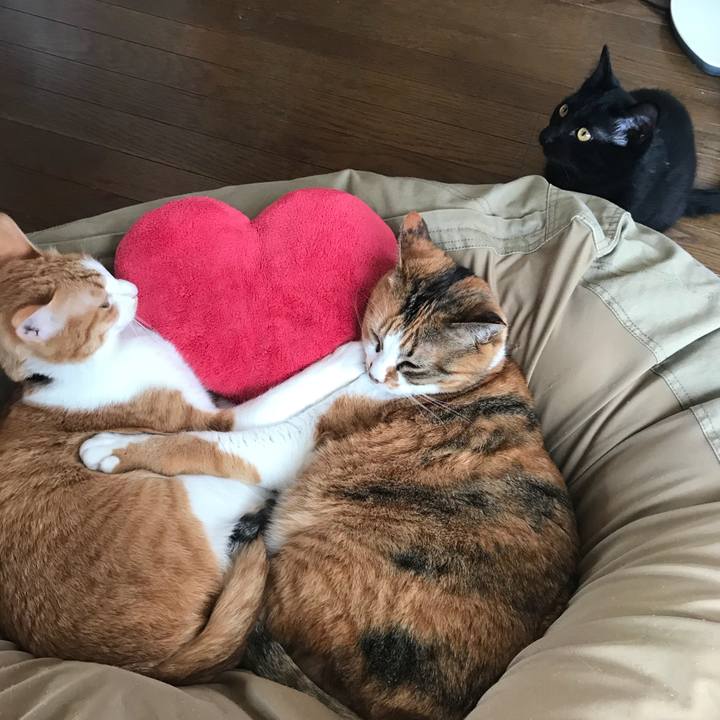 13a968c6 3f4c 499f 99ea e1517bf7726f 1519265127456