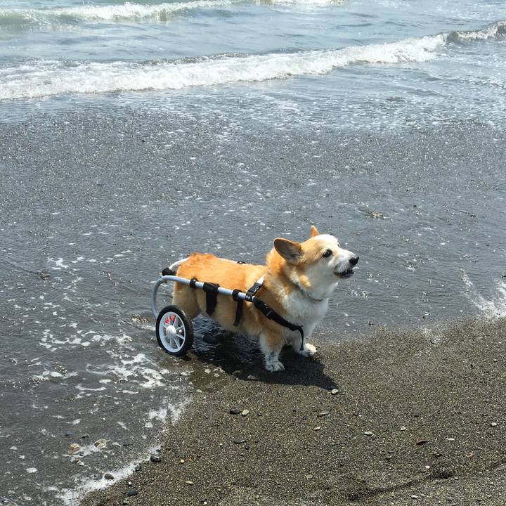 13a996d2 4a65 4a92 a2ab 550b04a8129d 1557067659488