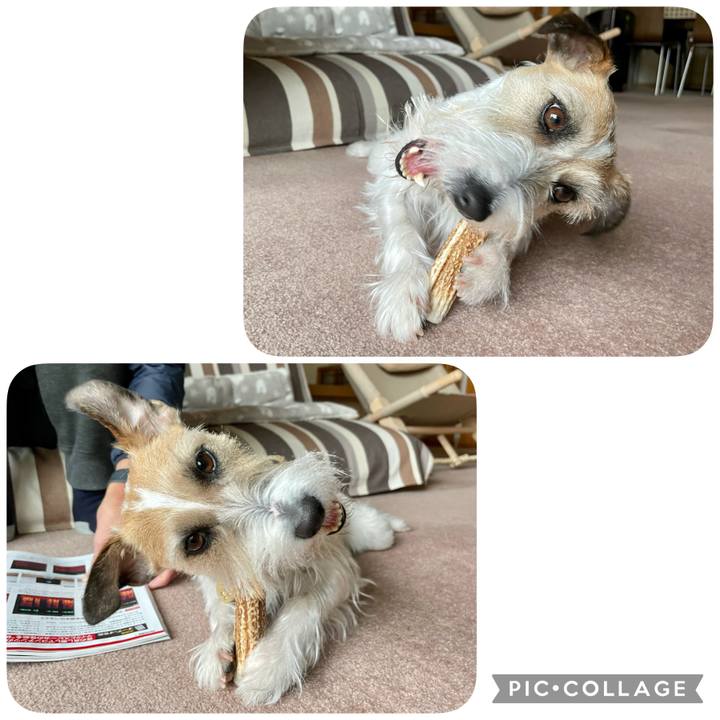 13a9c3b3 84d1 4e49 97b8 a8f06ced0ee9 1644723954954