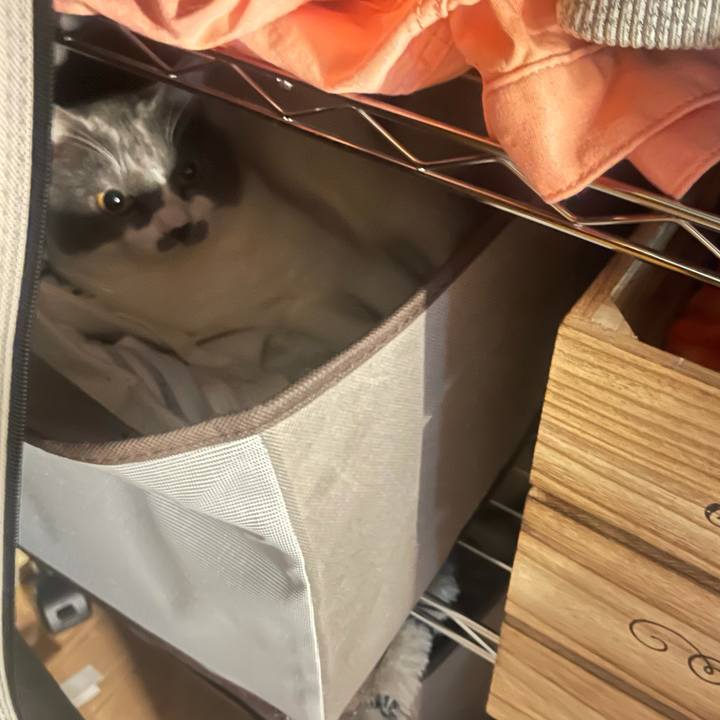 13a9def8 ed24 4055 803d a5bf8b7021d8 1626665539521