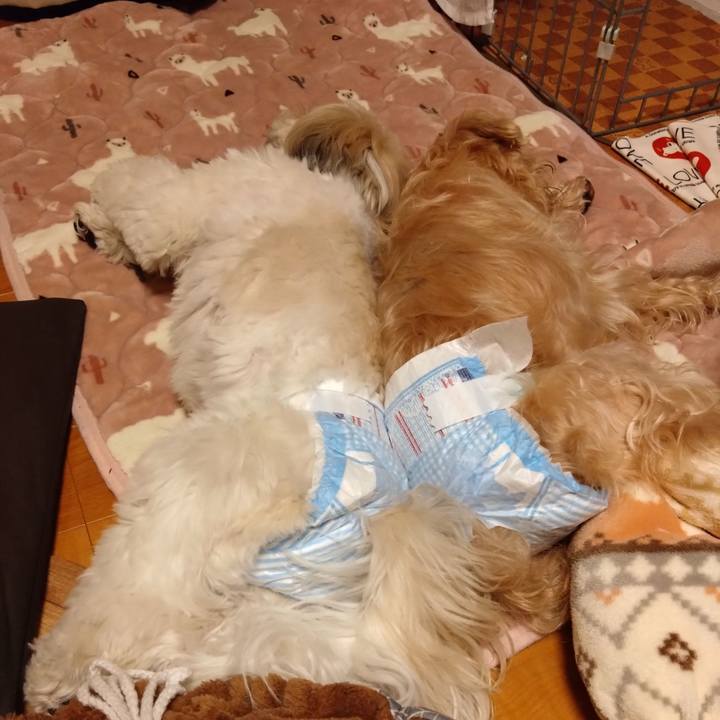 13aa23e5 8725 4fe1 957b 68c50554dfac 1676847732231