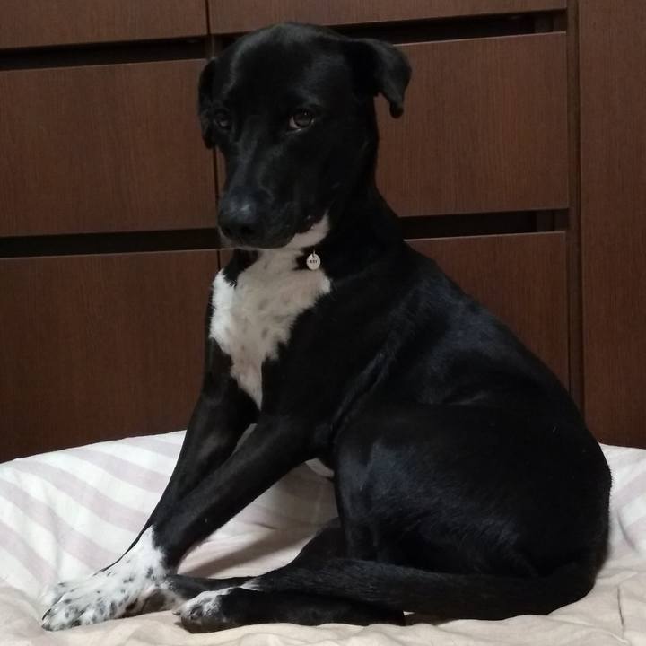 13aa268d 43d9 4ccf 80ae 3ad0d9df1912 1588070060733