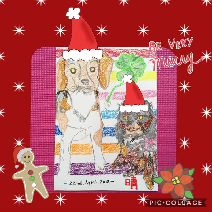 13aa3afd 8024 4f18 9c35 f3bc57fc8cd8 1545017612637