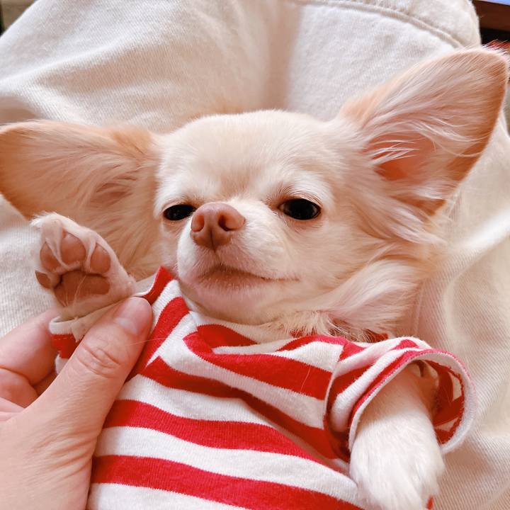 13aa611a 6b9a 4545 8881 f91e42f5b212 1665731430528