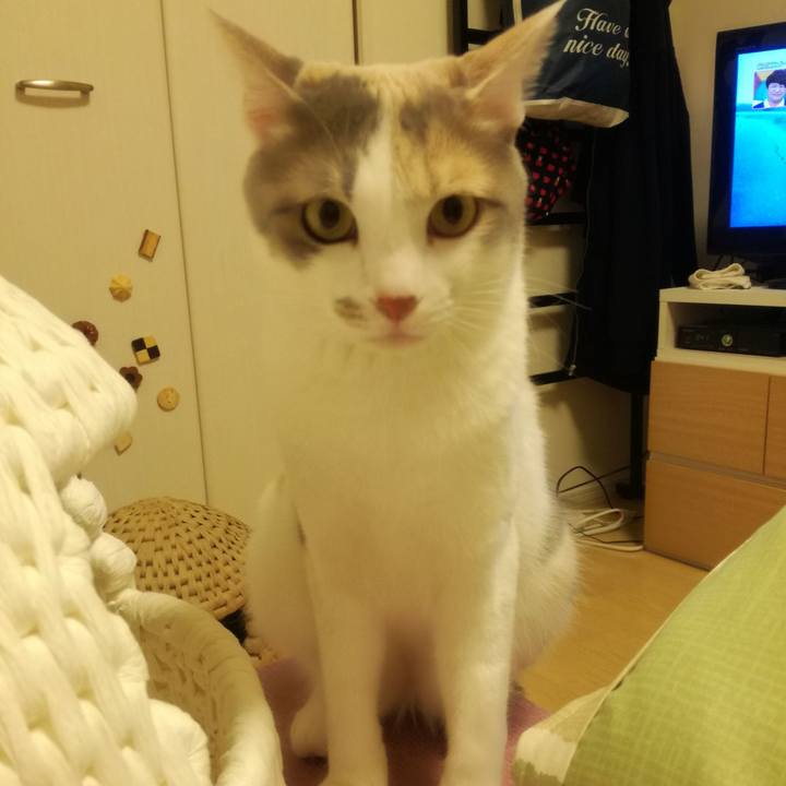 13aaa485 fe1a 4c9e 9146 888091f1ea60 1526121165000