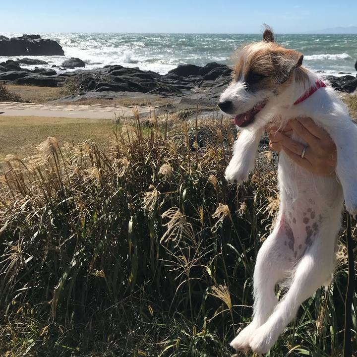 13aab2d1 7405 466e 853c 5b5601b052b0 1759832600925