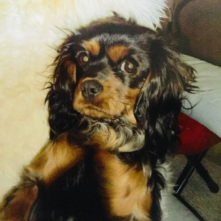 13aab384 d042 424d 8497 c474b857ba0c 1552315459026