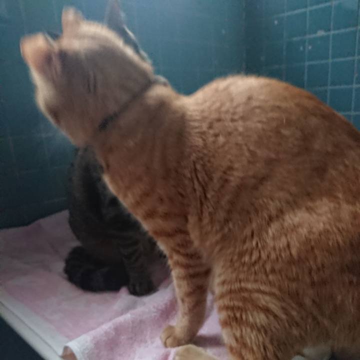 13aabc91 787e 4306 b6e3 b8199a0f427d 1649925581892