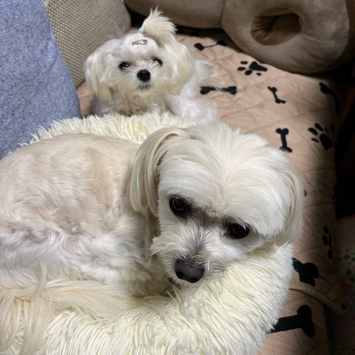 13ab2df7 0d8f 4179 a2e9 7e0744dd4524 1729854532574