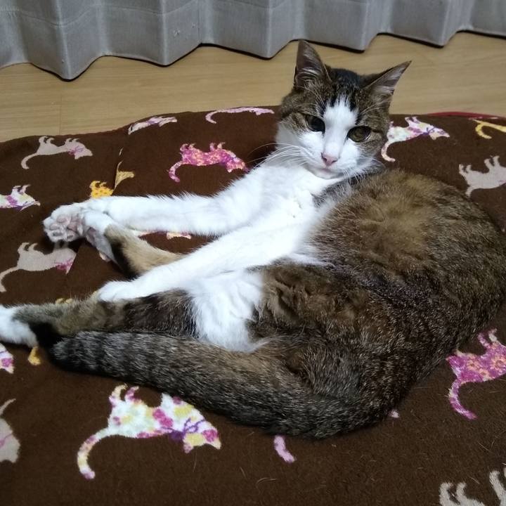 13ab5865 d441 4cfa b576 c4904f28f296 1556636562190