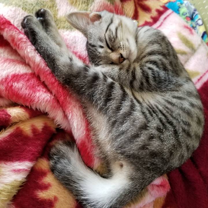 13aba56f c24c 4125 94f3 8e3a788a7cb9 1665763066240