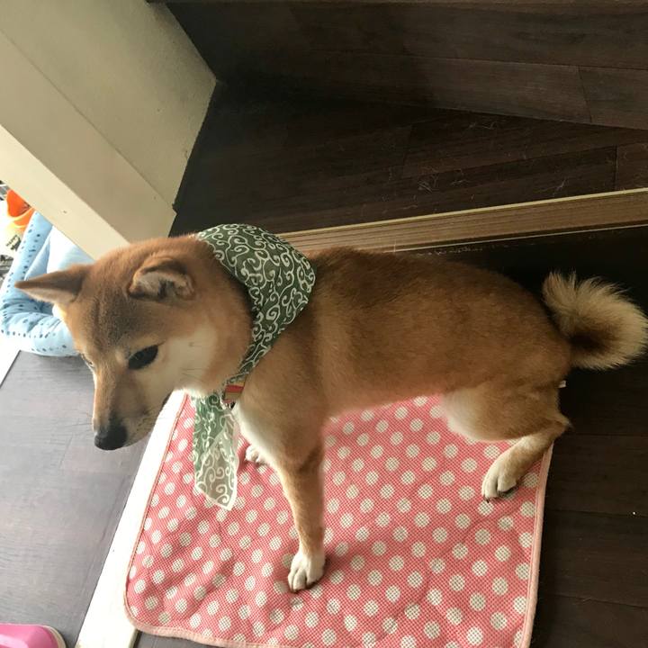 13abcd00 22a3 43ed 9993 6f5e46cd47bd 1534641612531