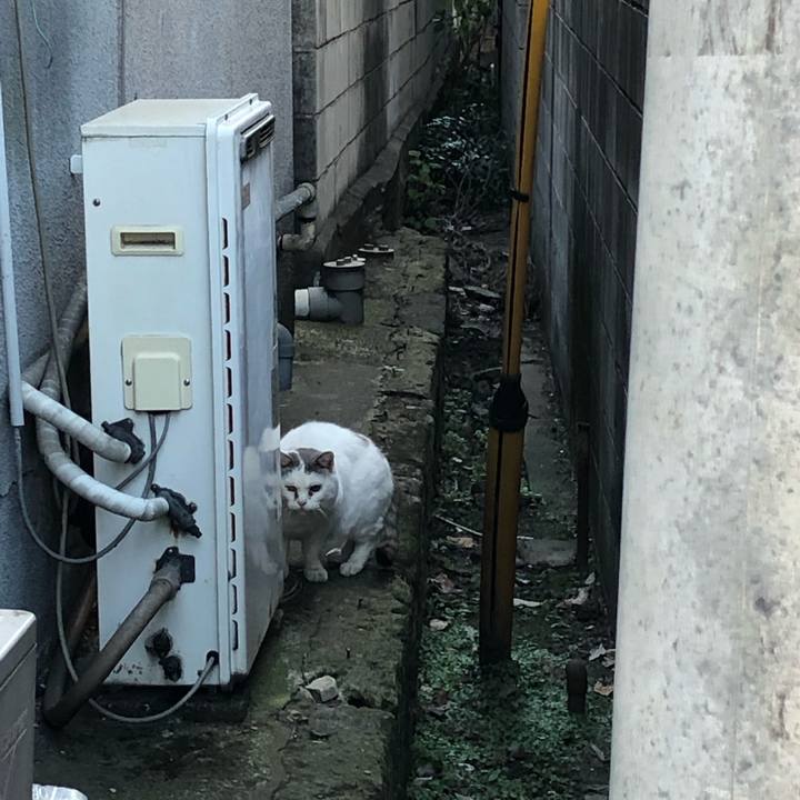 13abf207 6278 4e21 bb27 60879de66e46 1548119310803