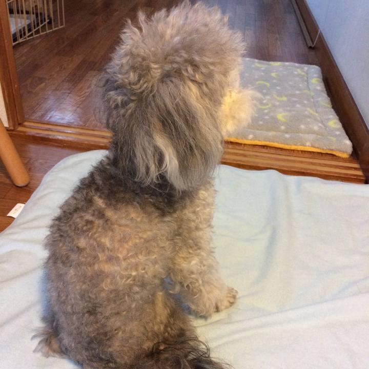 13abfa5b 3ff8 4cc0 a797 f1d9a7e08353 1512344705775