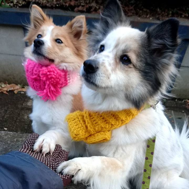 13ac4347 2876 462e 9353 966851aab32c 1580648735189