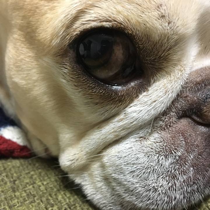 13ac5977 77d9 479b b849 0c5bc8e1cb34 1512479904169