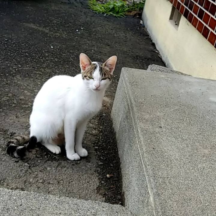 13ac5fb4 e9f8 4937 9e73 8bf235b37740 1566612985103