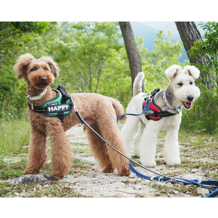 13ac652f 094c 4748 9632 fdc798a3f1d6 1529023886840