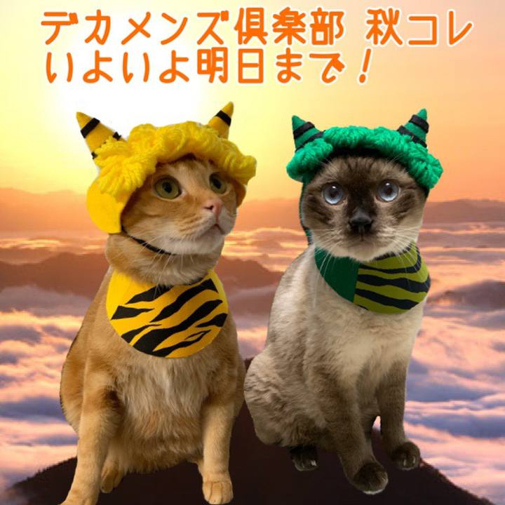 13ac832b ce3e 4b08 846a c31ead0b056d 1568378247003