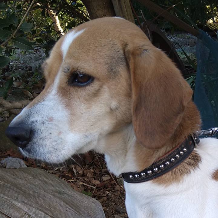 13acb87c 4820 462f a78a a883b2900870 1646750270279