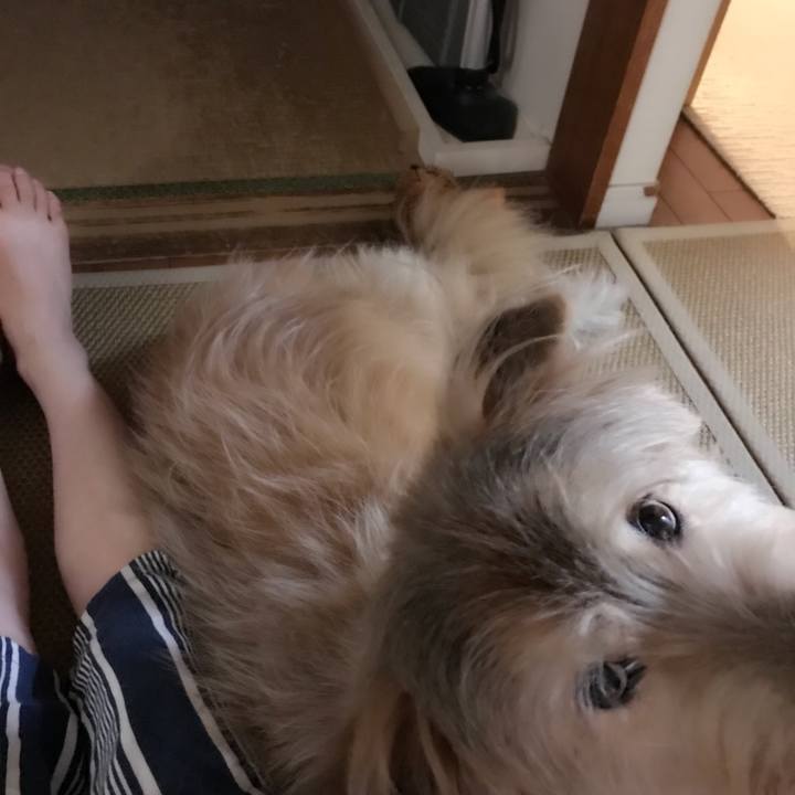 13accf88 c061 45a1 abc4 efd046cf97ca 1569936190675